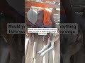 please stay for seconds and donate anything little you can to help hungry dogs get food link in bio