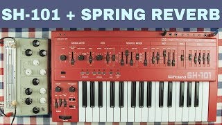 ROLAND SH-101 + KNAS EKDAHL MOISTURIZER (Spring Reverb) ~ Will They Pair Ep.34