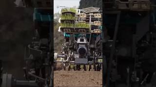 Mind-Blowing Robotic Farming Machine! 🤯🌱 #sciencefacts #shorts