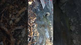 IMG 16941