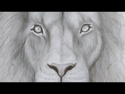 Video: Cara Melukis Singa Dengan Pensil