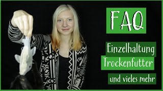 FAQ: Einzelhaltung, Trockenfutter, Kastration und mehr by Kralle und Faden 2,595 views 6 years ago 13 minutes, 17 seconds