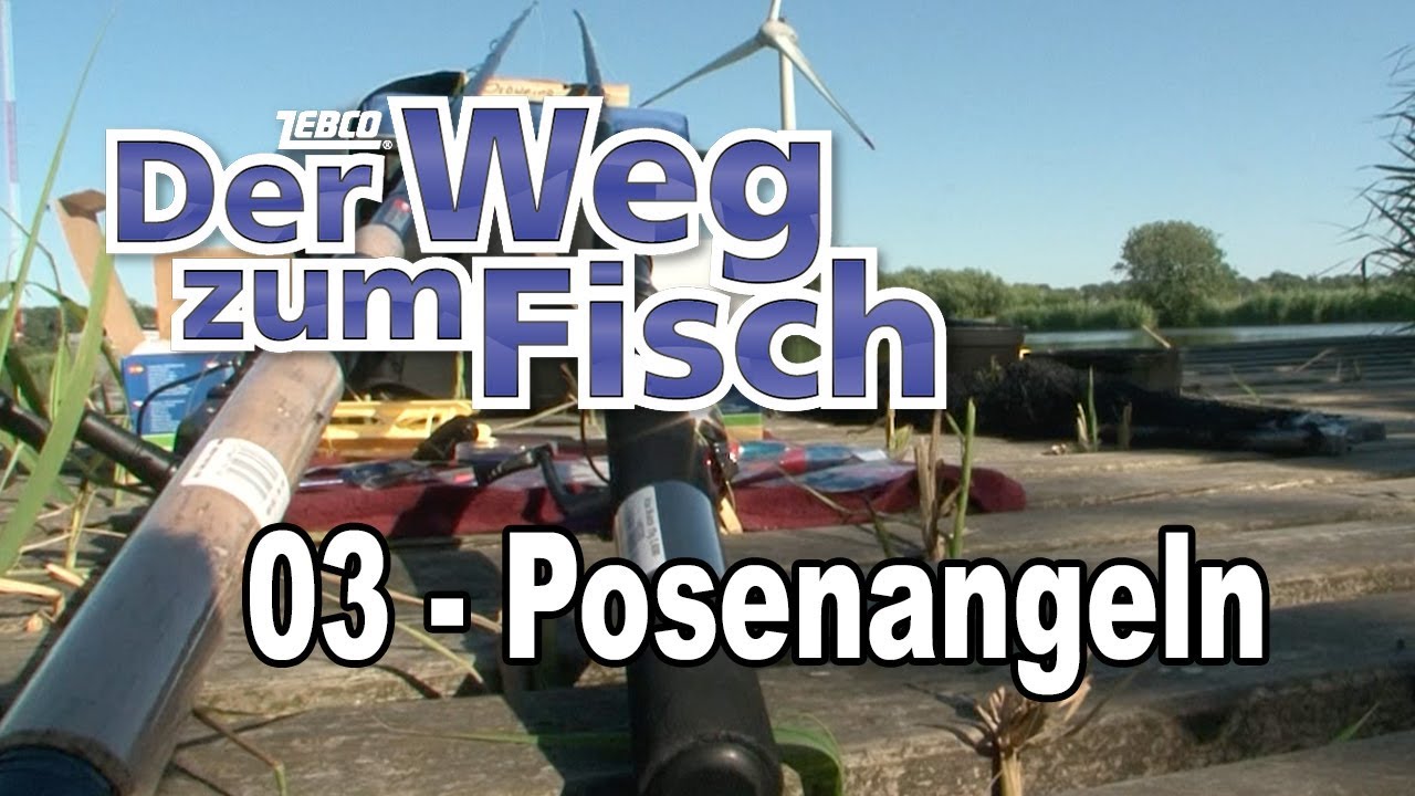 Matze Koch: Fängigste Posenmontage zum angeln mit Köderfisch