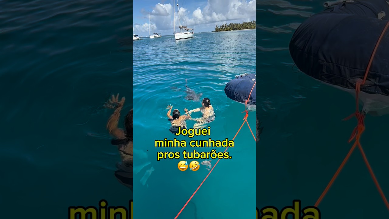 ⁣Joguei minha cunhada pros tubarões! 😅🦈😂 #vidaabordo #mar #tubaroes