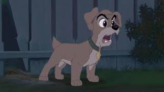 Were Back A Wild Animals Story Part 4 - Meet Scampwelcome To The Jungle