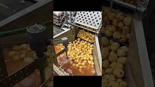Potato chips factory process revealed #Shorts #Chips #Factory #Viral #Food #youtubeshorts #viral
