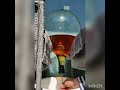 Air pushing inside bottle where is under pressure 😮