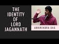 The Identity of Lord Jagannath - Day 1 - ISKCON Baltimore - Amarendra Dasa - 2018