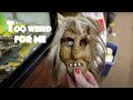 TOO Weird for ME | Shop with ME for Ebay | Reselling