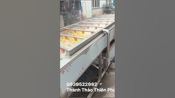 MÁY RỬA RAU CỦ QUẢ BĂNG TẢI 0939.522.992