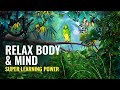 Super Learning Power: Relaxing Music For Study, Concentration, Binaural Beats | Relax Body & Mind