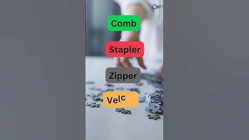 Solve the Sticky Puzzle Riddle that has teeth but dosent bit and hold things together #riddles