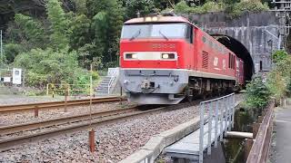 北陸トンネル から出てくる EF510 -22 牽引 貨物列車