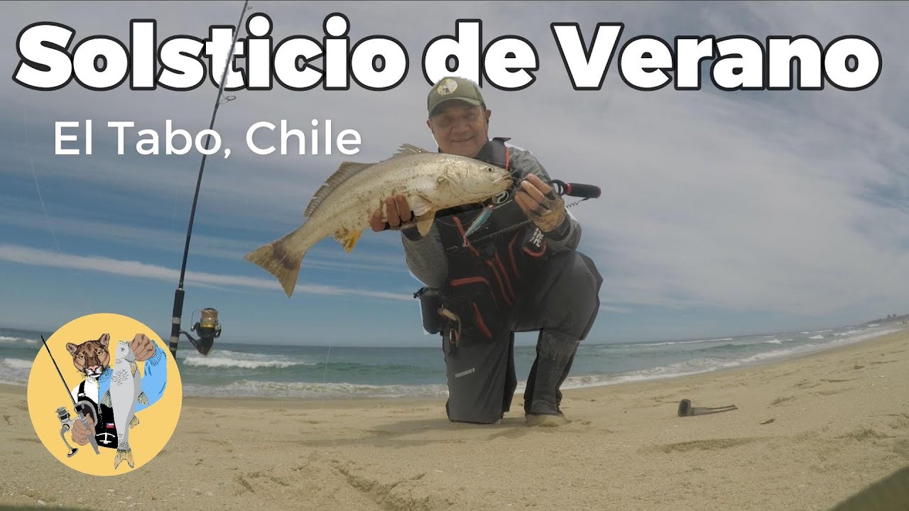 Corvina En Solsticio de Verano 2025-2026 