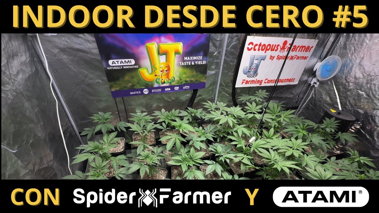 CULTIVO HIDROPÓNICO SIN ERRORES Y AUTOMATIZADO: ¡INSTALO EL VENTILADOR Y LO AUTOMATIZO CON EL GGS!