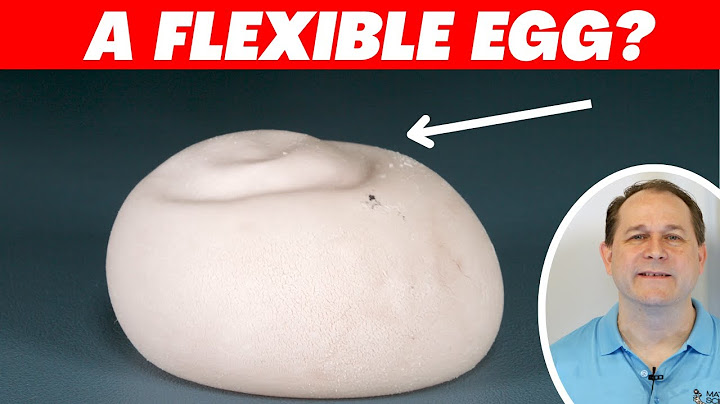 I Turned an Egg into a Elastic Bouncy Ball - And Shot It