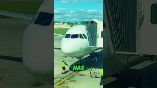What Is This Big Yellow Hose Under the Plane For #Aviation #Airplane #Airport #PlaneFacts #Avi