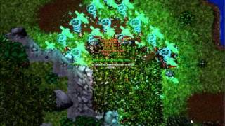 Spider Server 8.5 Open Tibia Server