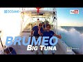 PESCA A BRUMEO,BIG TUNA.Documental donde pescaremos grandes atunes en el levante español.