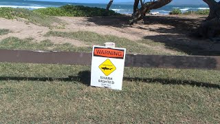 Surfer's leg 'severed at the knee' after shark attack at Maui's Waiehu Beach