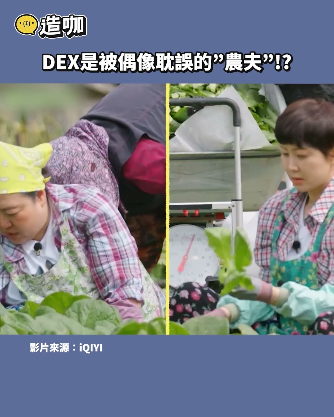 DEX是被偶像耽誤的”農夫”！？@ebcstars #shorts