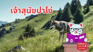 เจ้าสุนัขป่าโง่ | นิทานสนุกๆ ก่อนนอน #19