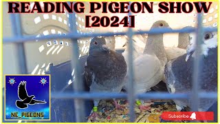 The Biggest [Pigeon Show]  Lancaster, PA (2024)