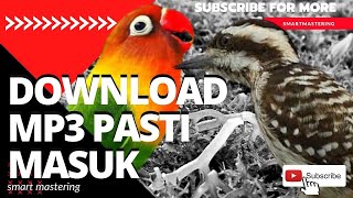 suara burung pelatuk beras gacor vs lovebird - kompilasi masteran terbaik