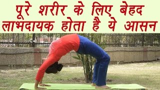चक्रासन (Chakrasana ) | Wheel pose | पूरे शरीर के लिए बेहद लाभदायक होता है ये आसन | Boldsky