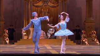 Sleeping Beauty Bolshoi 2017 Blue Bird