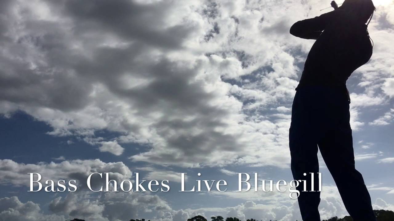 Bass Chokes A Live Bluegill