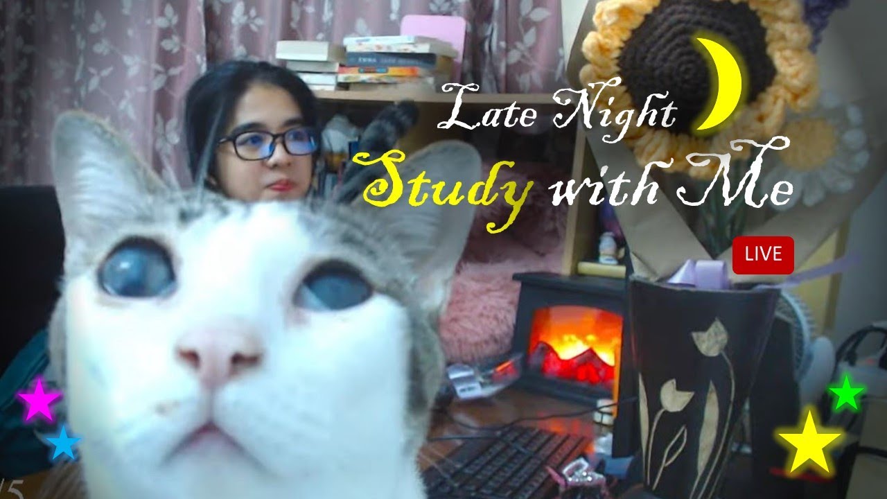 Study with me Live 2 hours 60/10 | Computer Science