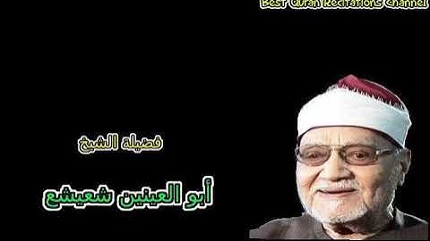 ما تيسر من سورة آل عمران - فضيلة الشيخ ابو العينين شعيشع