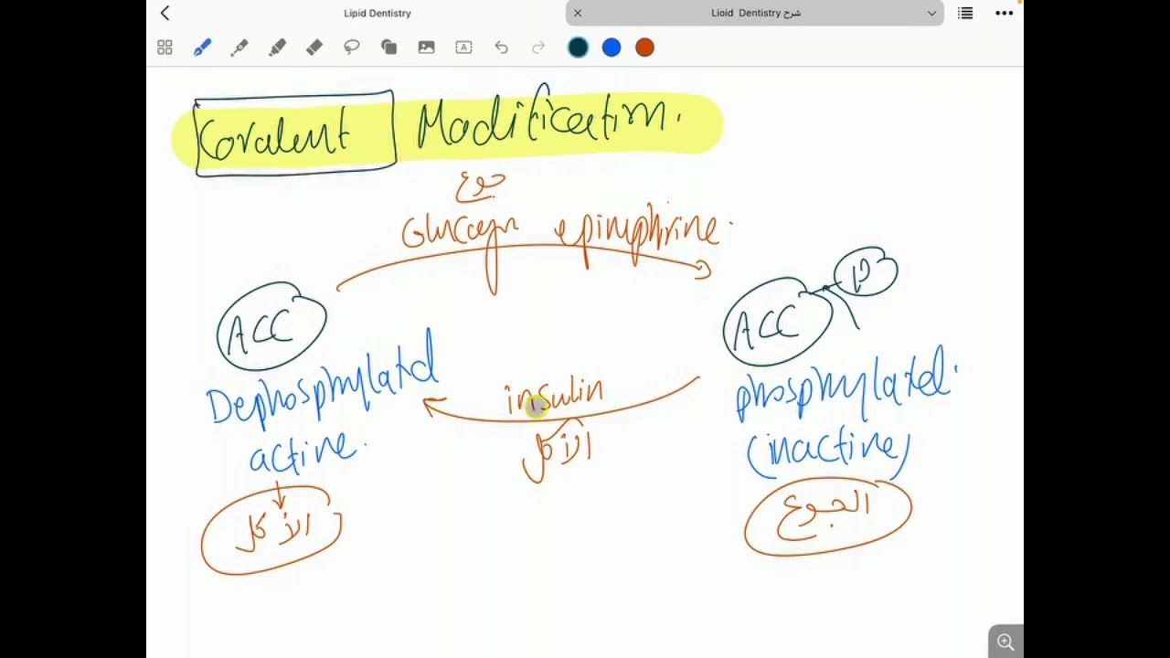Lipid Metabolism - 2