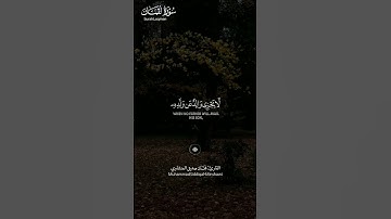 #سورة_لقمان ||حالات واتس قرآن ||القارئ#محمد_صديق_المنشاوي #المصحف #تلاوة_هادئة #لايك #راحة_نفسية