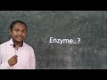 General properties of the enzymes: For BSc, MSc and SET, NET.