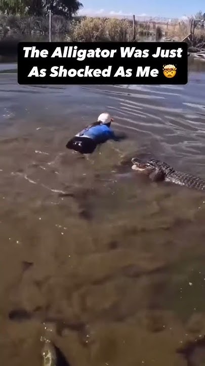 Crocodile Nesting Season 악어둥절 - YouTube