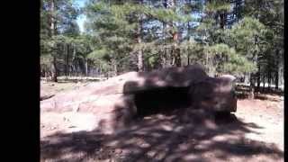 Celebrity bear home makeover Net Worth