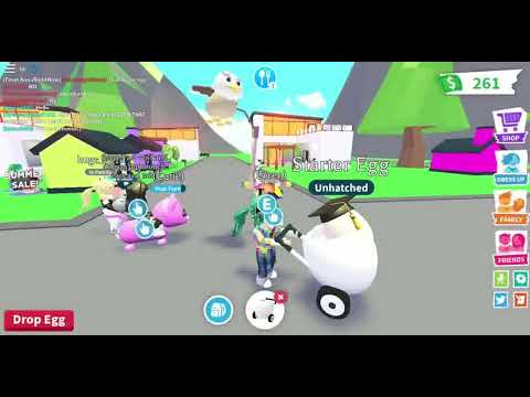 Hholykukingames Adopts A Pet In Adopt Me U Hholykukingames - roblox mega fun obby 2 hholykukingames code working now