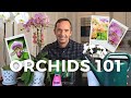 Caring for orchids a stepbystep guide