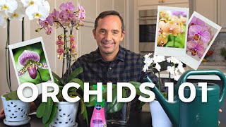 Caring for Orchids: A StepbyStep Guide