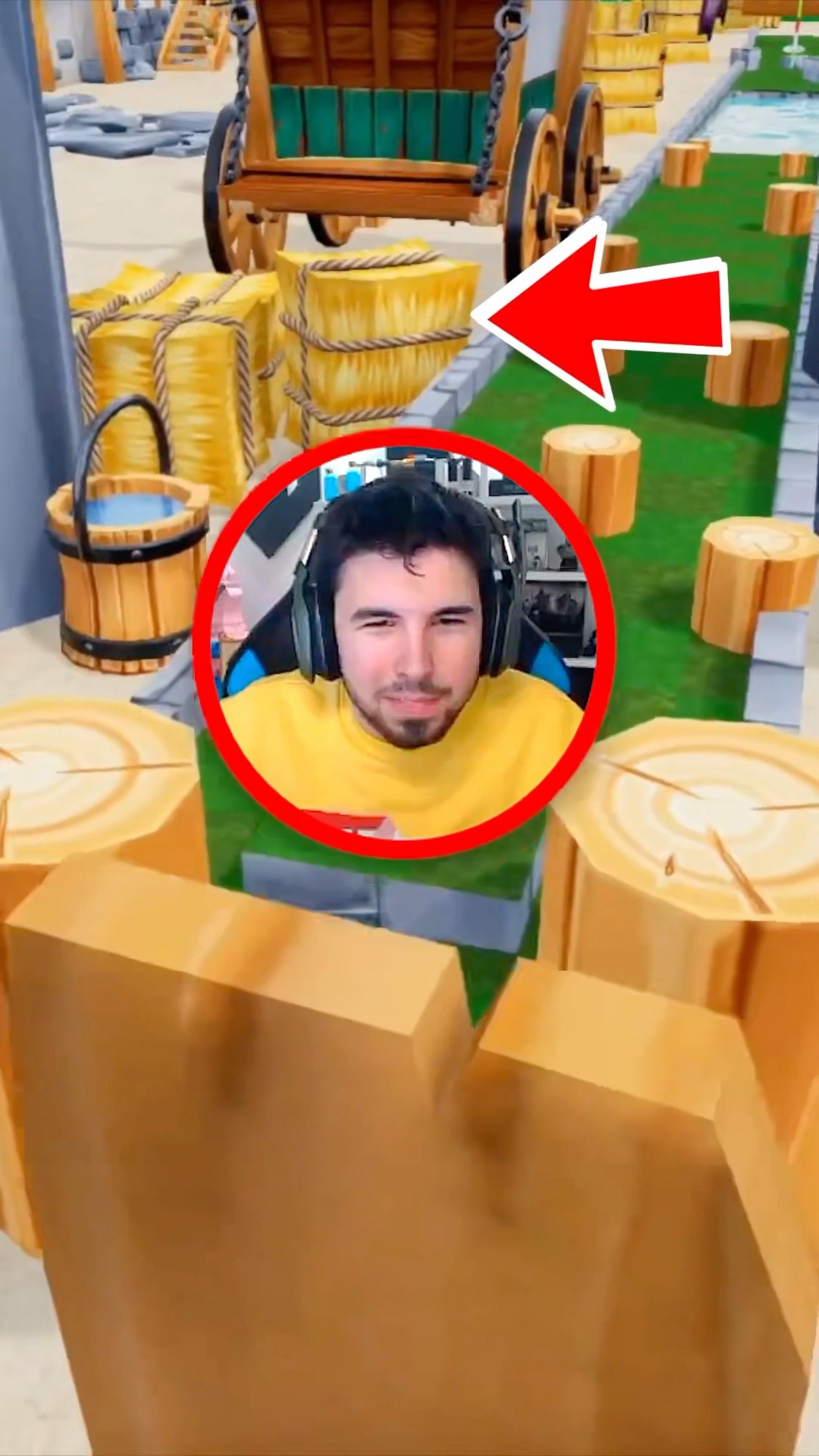 La dieta de Fargan!! ?️?️