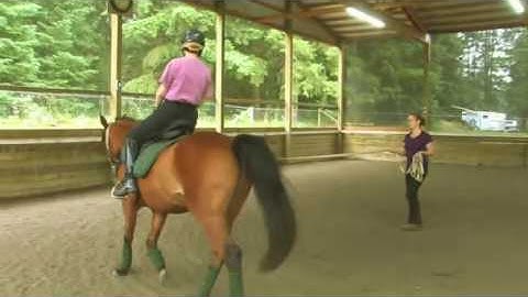 Transitions within Gaits