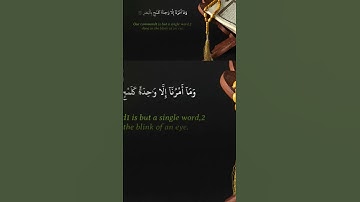 إن المتقين في جنات و نهر .. سورة القمر #قرآن #quran #اكسبلور #sura #تلاوة #