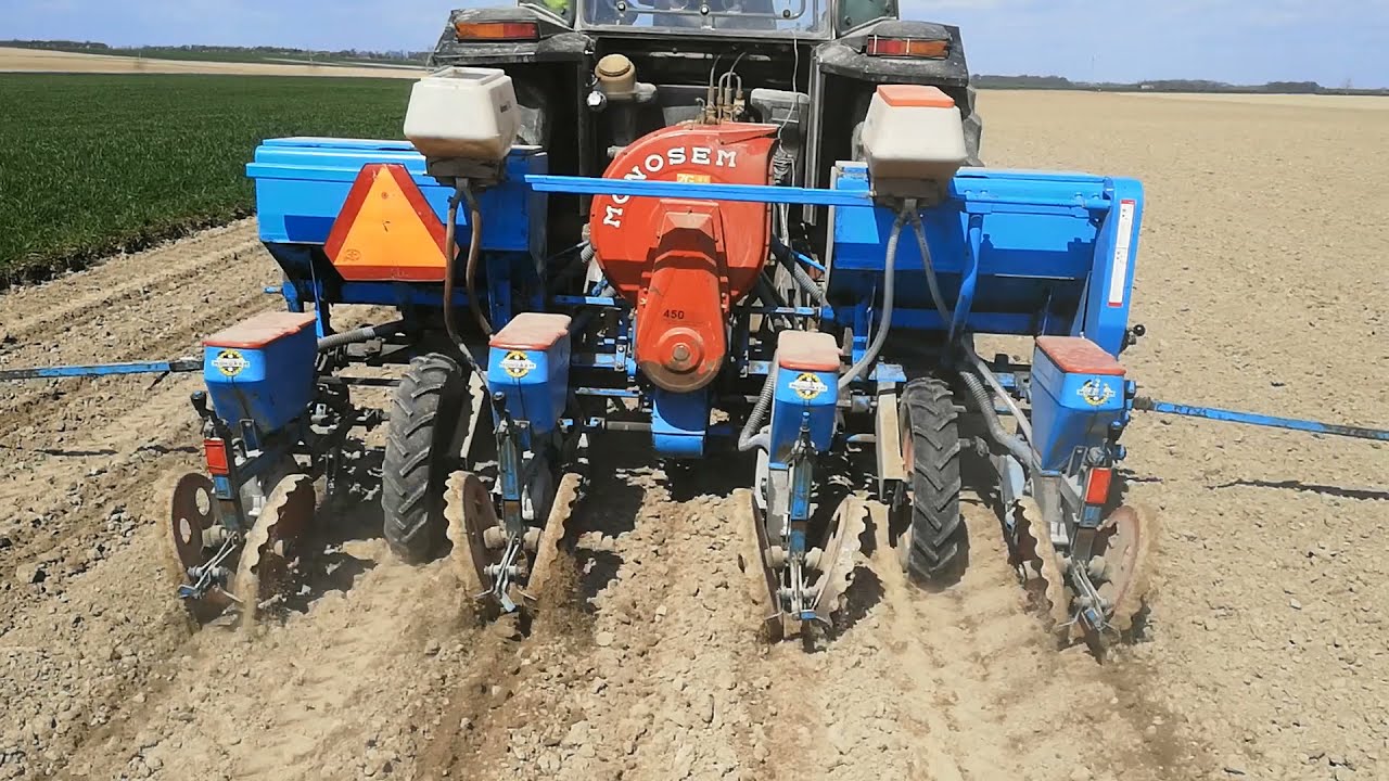 Siew kukurydzy Massey Ferguson 3050 & Monosem PN