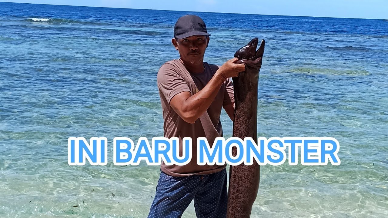 sensasi mengerikan mancing belut monster laut
