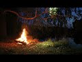 🔥 10 HOURS Cozy Relaxing Crackling Campfire at Night by the Lake with Cricket Sounds for Sleep