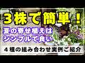 【こんな組み合わせはいかが？】３株で仕上げる４種類の個性的な寄せ植え作り。夏の寄せ植えはシンプルが良いと思う！