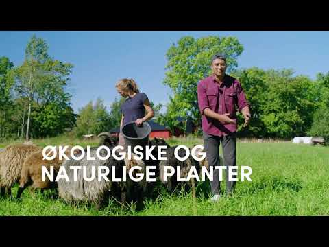 Video: Hva er økologisk hagearbeid og jordbruk?