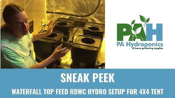 Fallponic Waterfall Top Feed RDWC Hydro Setup for 4x4 Tent
